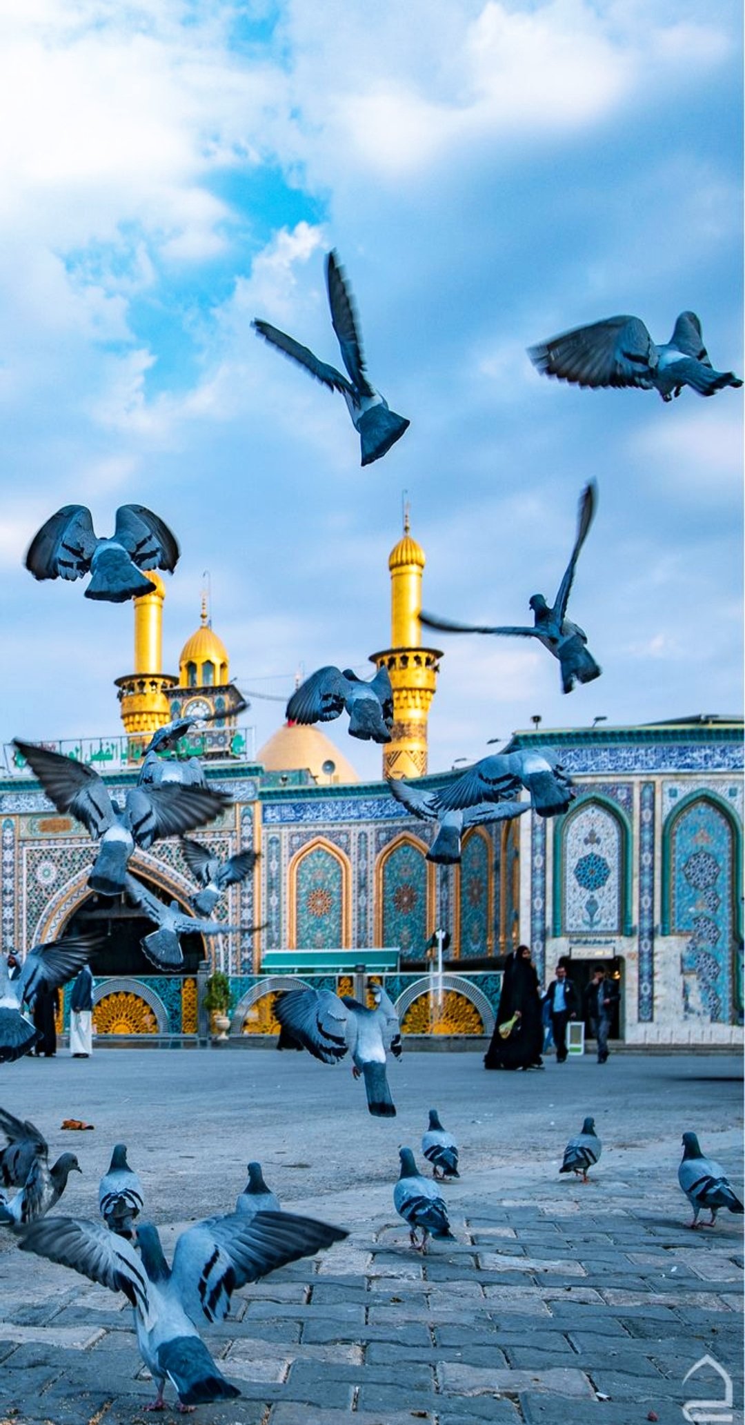 Pigeons in Kazmain Courtyard